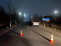 Авария: в ГИБДД сообщили подробности наезда на пешехода в Петрово 