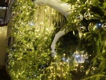 Под Новый год 2025/2026 в Зеленоградске - воплощение сказки на земле