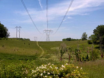 Ряд сельхозземель в Холмогоровке и Романово хотят перевести в новую категорию