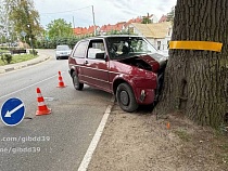 В Железнодорожном «Гольф» с двумя малыми детьми врезался в дерево