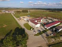 Калининградские компании «Мираторга» увеличили налоговые отчисления по итогам трех кварталов 2018 года на 11% - до 670 млн рублей