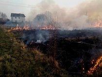 МЧС бросило сотни пожарных на тушение полей Калининградской области