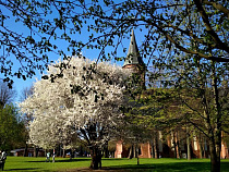 Популярность Калининграда за лето-2018 выросла на 26%