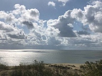 Любитель жесткача с рыбой из Калининграда устроил бойню в заливе