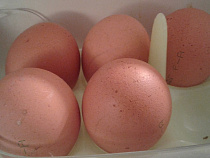 Любовник соседки украл у девушки еду