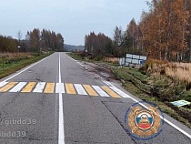 Под Краснознаменском «Мерседес» сбил косулю с автобусной остановкой