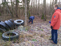 «Зелёный фронт» предупредил о неконтролируемом росте свалок в лесах Калининградской области