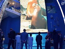 Это место в Калининграде притянет тысячи туристов в день