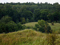 Нестеровские полицейские вернули женщине её козлят 