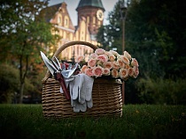 На острове Канта в Калининграде появилась Площадь роз