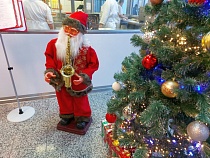 Школа в Калининграде решила купить новогодние ёлки про запас