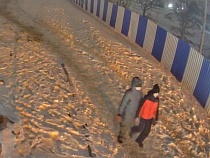 Власти Зеленоградска пообещали 50 000 рублей за сведения о вандалах 