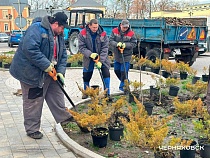 В Черняховске появился нано-аналог парка из Копенгагена