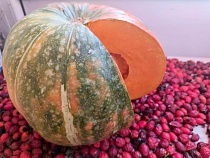 В Калининградской области забросили ЗОЖ