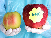 Продавцам продуктов с ГМО без соответствующей маркировки грозит штраф до 150 тысяч рублей