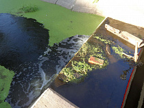 «Черняховский водоканал» отбился от Роспотребнадзора — перепутали статью*