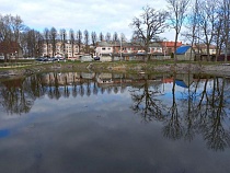 Отдыхавшие как свиньи в Калининградской области набросали сотни кубометров мусора