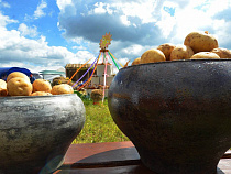 В Калининградской области взялись за посадку овощей