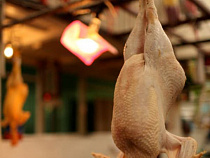 В России ограничат поставки мяса птицы с одного из турецких предприятий