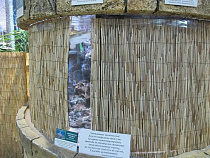 Акула из Калининградского зоопарка пошла на поправку