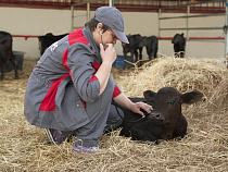 АПХ «Мираторг» внедрил электронную ветсертификацию на всех фермах крупного рогатого скота