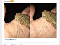 Калининградцы сообщили, что находят в хлебе стекло, шнурки и металлическую стружку