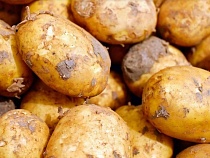 10 кг картошки из Литвы не дали просочиться в Калининградскую область