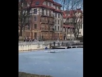 Найден спасший собаку в ледяной воде калининградец