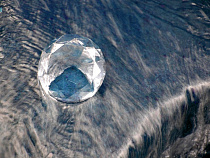 Алмазная компания из Гонконга хочет 660 тысяч USD с калининградской фирмы