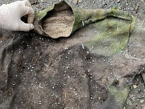 В Калининграде нашли останки погибшего более года назад мужчины