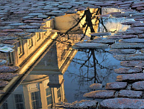 Горсовет одобрил переименование улицы у правительства региона