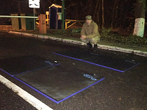 На Куршской косе организовали санитарный пост для профилактики АЧС