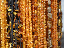 Янтарный кластер стал первым официальным промышленном кластером в регионе