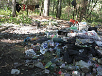 Калининградская область замусорена на 9 млн 600 тысяч рублей