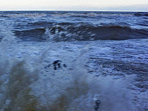 Спасатели выловили сёрферов, которых уносило в Балтийское море 