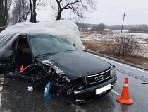 Во врезавшемся в дерево «Ауди» ранена 20-летняя девушка 