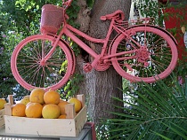 Груши и туши из Турции ныне под запретом