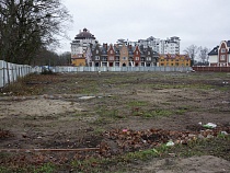 Власти Калининграда приговорили к вырубке 9 деревьев на Курортной