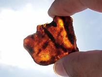 Калининградца задержали за попытку вынести с территории комбината 200 граммов янтаря-сырца