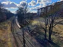 Калининградку встревожили красные кресты у железной дороги 