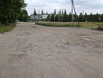 Дорогу к хозяйству Влаховича выложат бетонными плитами
