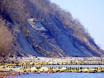 Самый тихий морской пляж Калининградской области могут перекрыть
