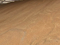 Начальник службы охраны предприятия стащил 30 тонн зерна 