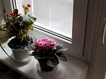 «Калининградтеплосеть» рассказала, почему увеличились платежи за тепло