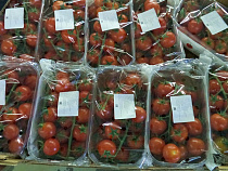 Водитель пытался провести через границу более тонны томатов, не заявленных в декларации