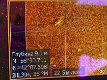 В Калининграде водолазы получили эхолот для подводного поиска пропавших