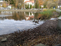 Фирму дзюдоиста Антона Верхолаза уличили в нарушениях в Светлогорске