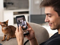 Власти в Калининграде сказали не платить бронь за аренду жилья авансом