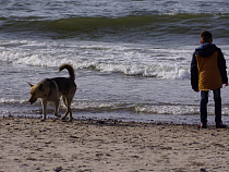 Расписание движения электричек в Калининградской области в праздничные дни