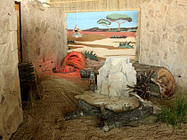 В зоопарке Калининграда сурикаты переехали в новый дом за 300 тысяч рублей (видео)